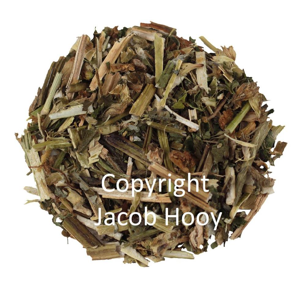 Jacob Hooy Hennepnetel Gesneden