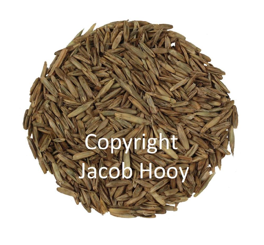 Jacob Hooy Hooikrop Gesneden