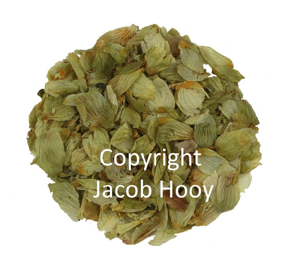 jacob hooy Hopbel gesneden