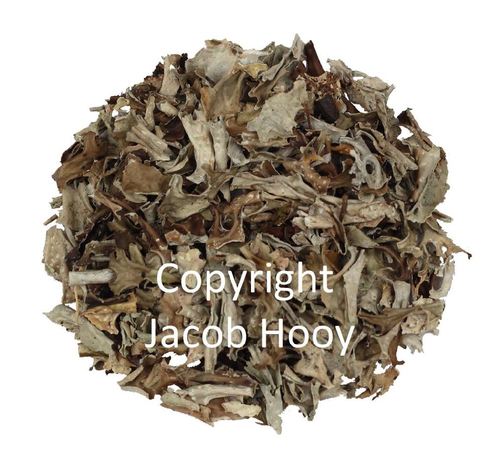 Jacob Hooy IJslands Mos Gesneden