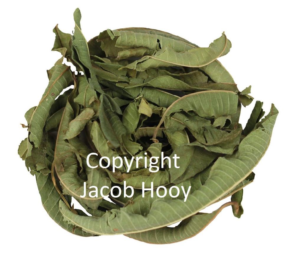 jacob hooy IJzerkruid heel welriekend