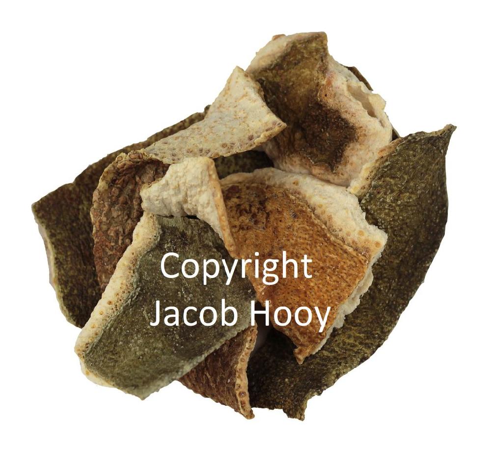 Jacob Hooy Jacmelschillen Heel