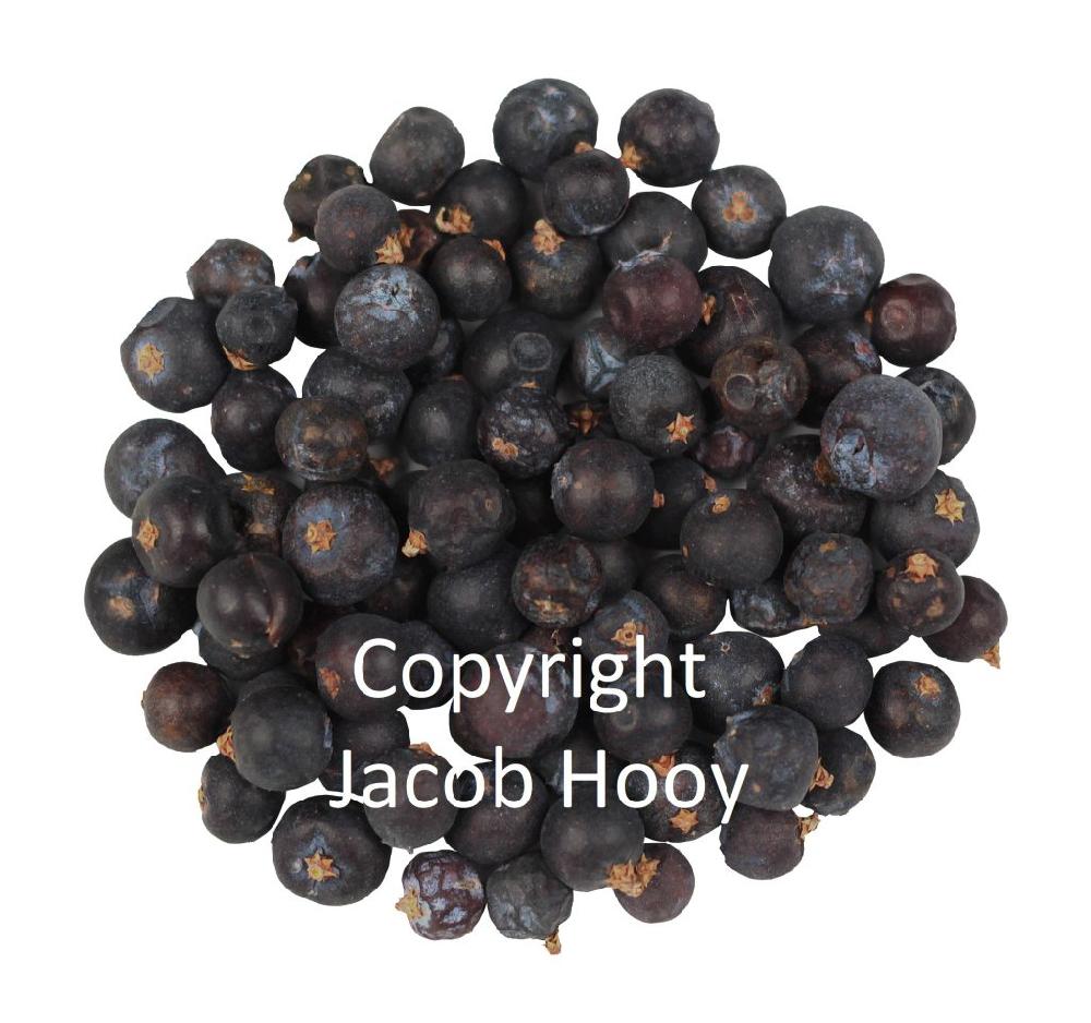 jacob hooy Jeneverbessen heel