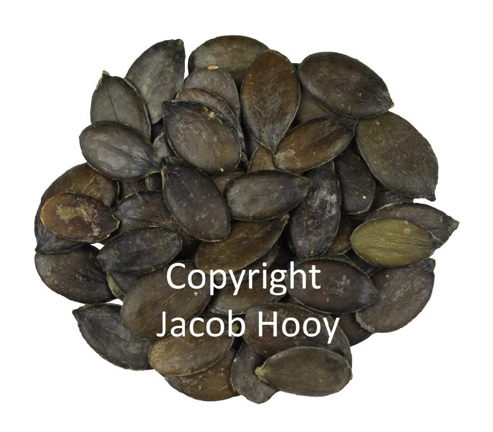 jacob hooy Kalabas / pompoenpit heel