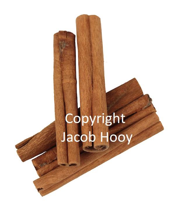 jacob hooy Kaneelpijp 8cm Cassia vera