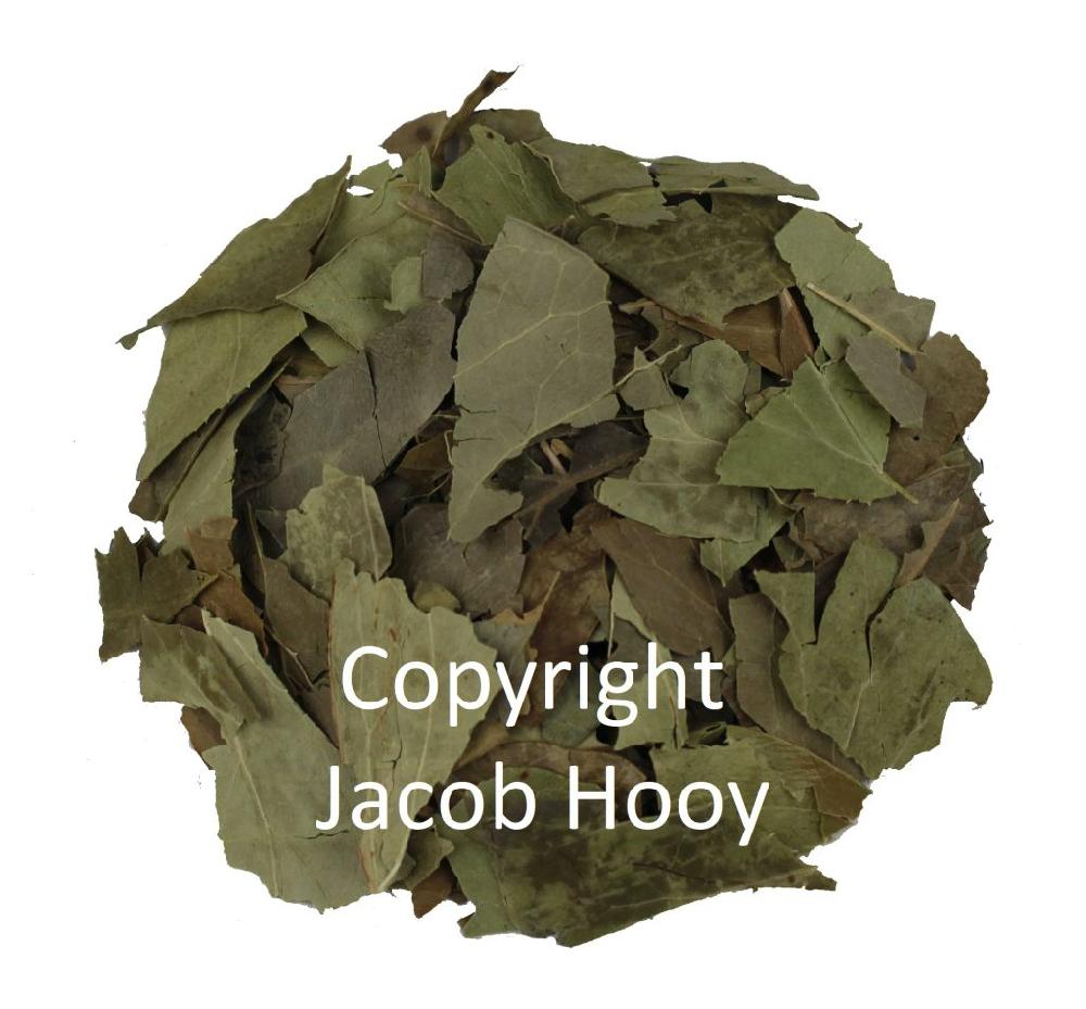 jacob hooy Klimop gesneden