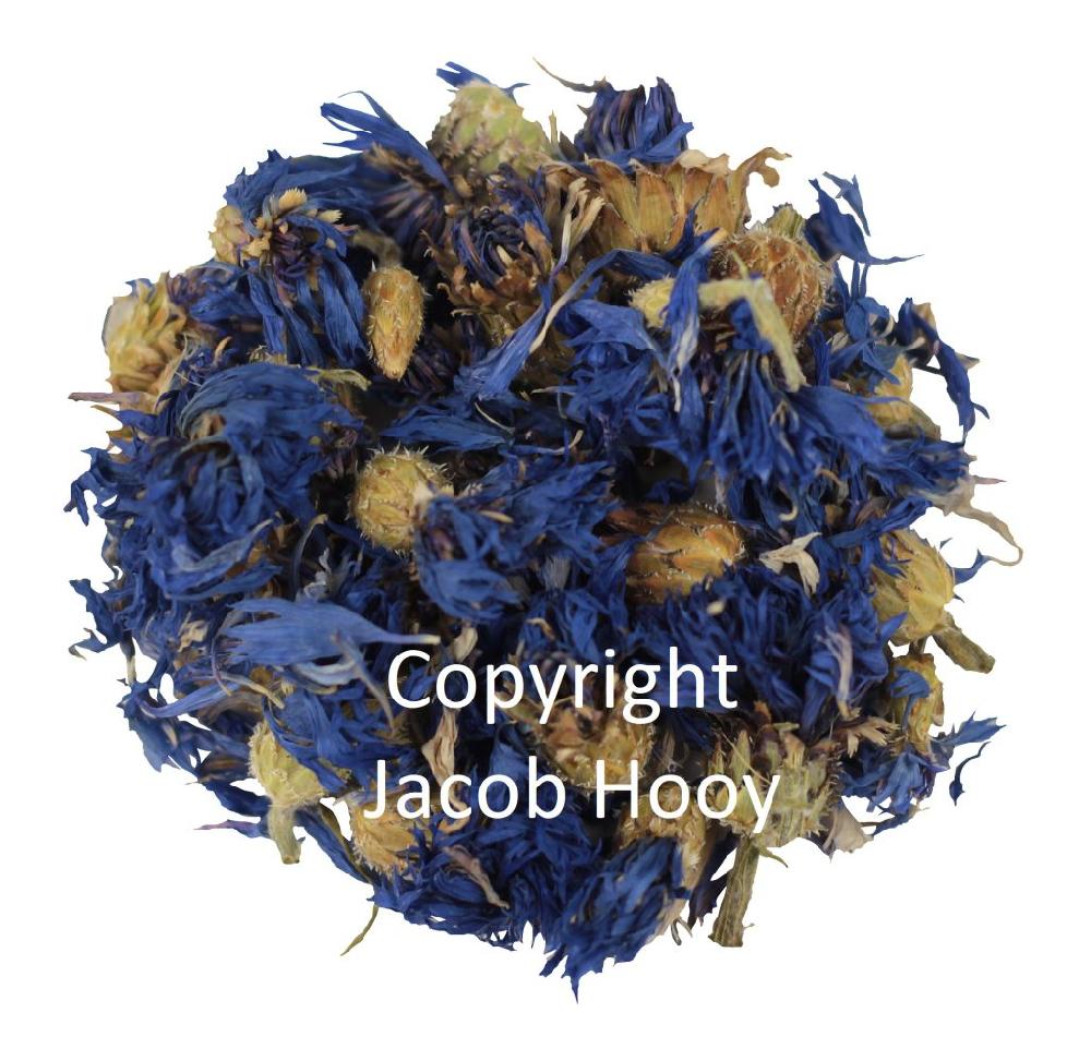 jacob hooy Korenbloemen heel