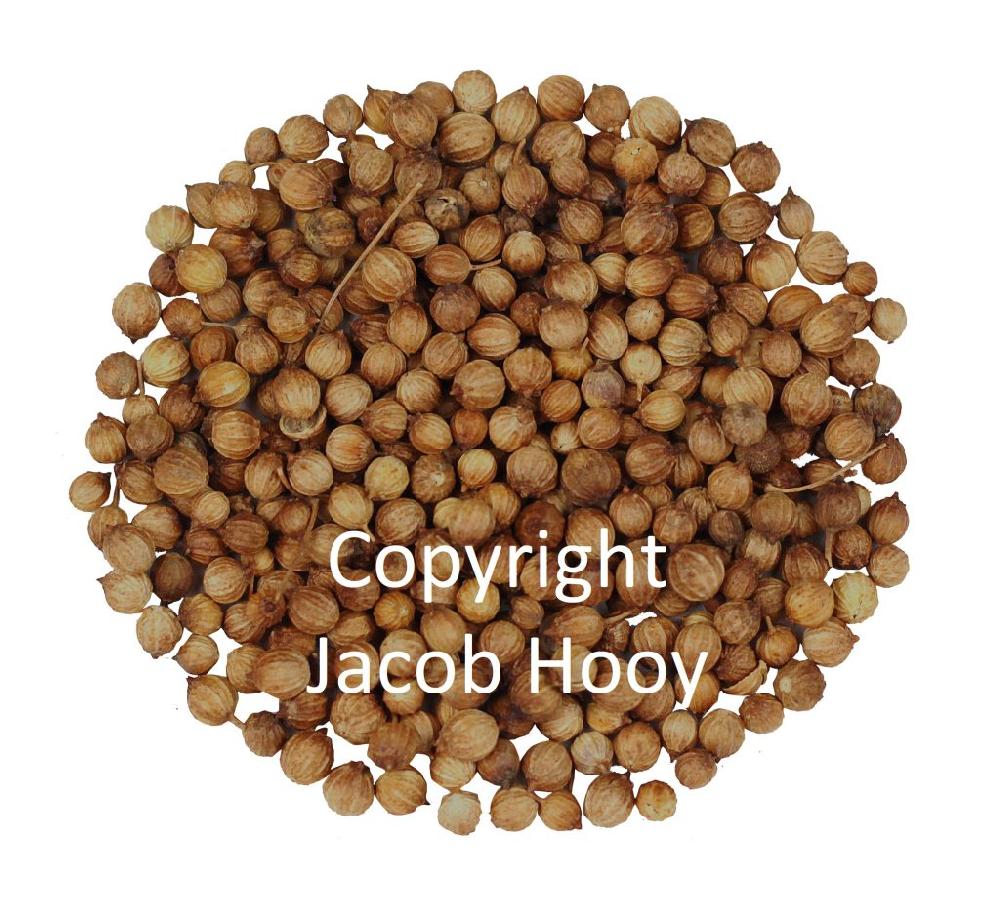 Jacob Hooy Korianderzaad Heel