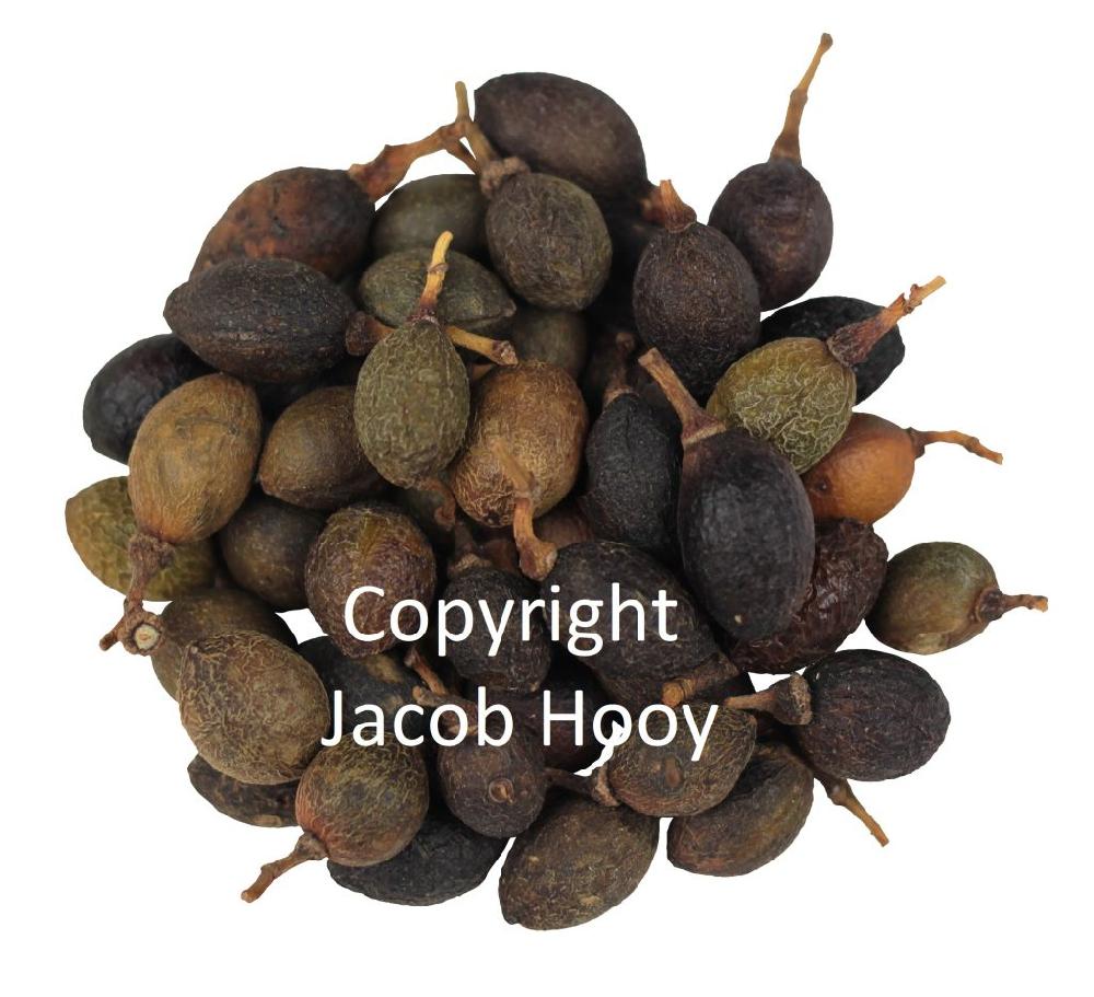 Jacob Hooy Laurierbessen Heel