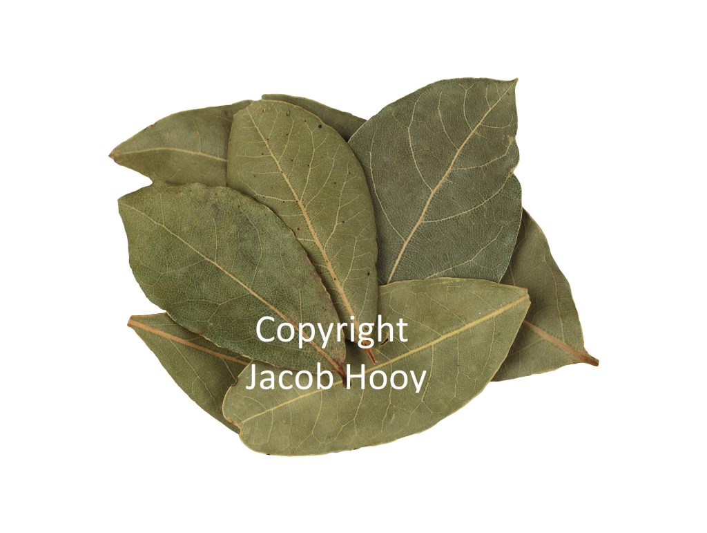 jacob hooy Laurierblad handpicked