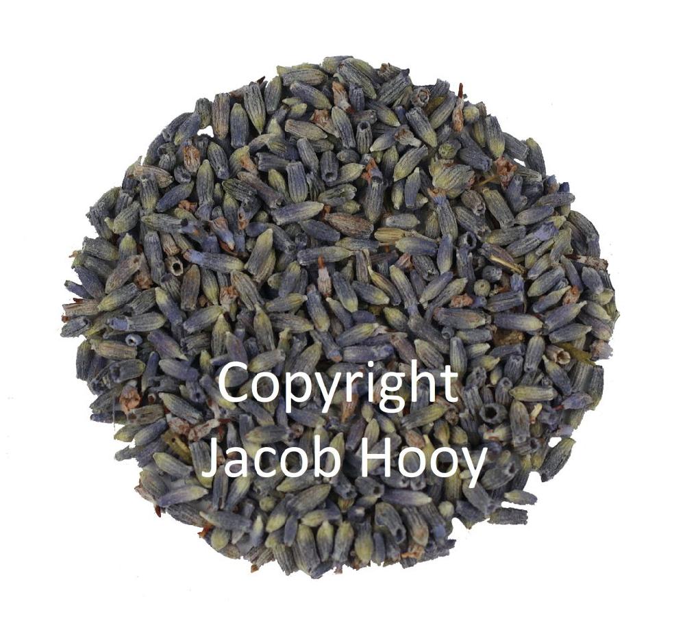 Jacob Hooy Lavendelbloemen Frans