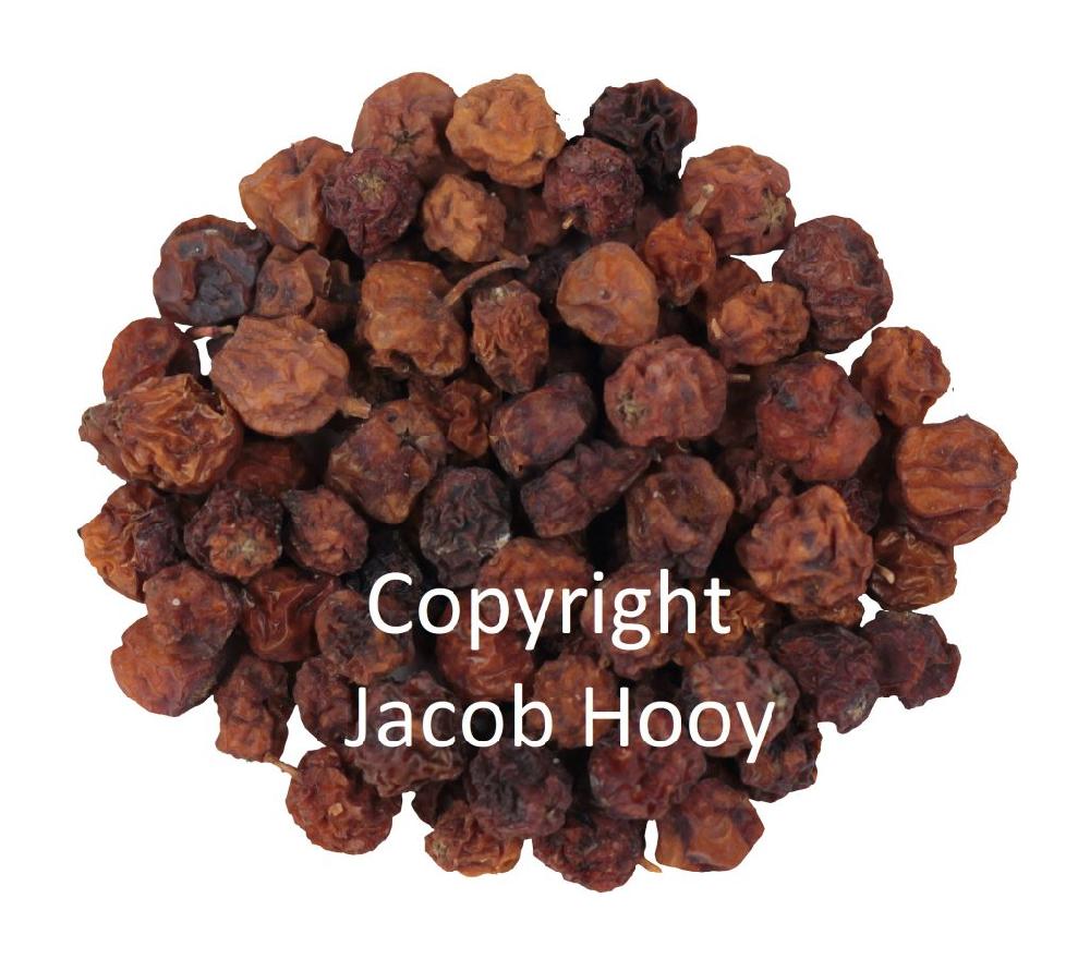 jacob hooy Lijsterbessen heel