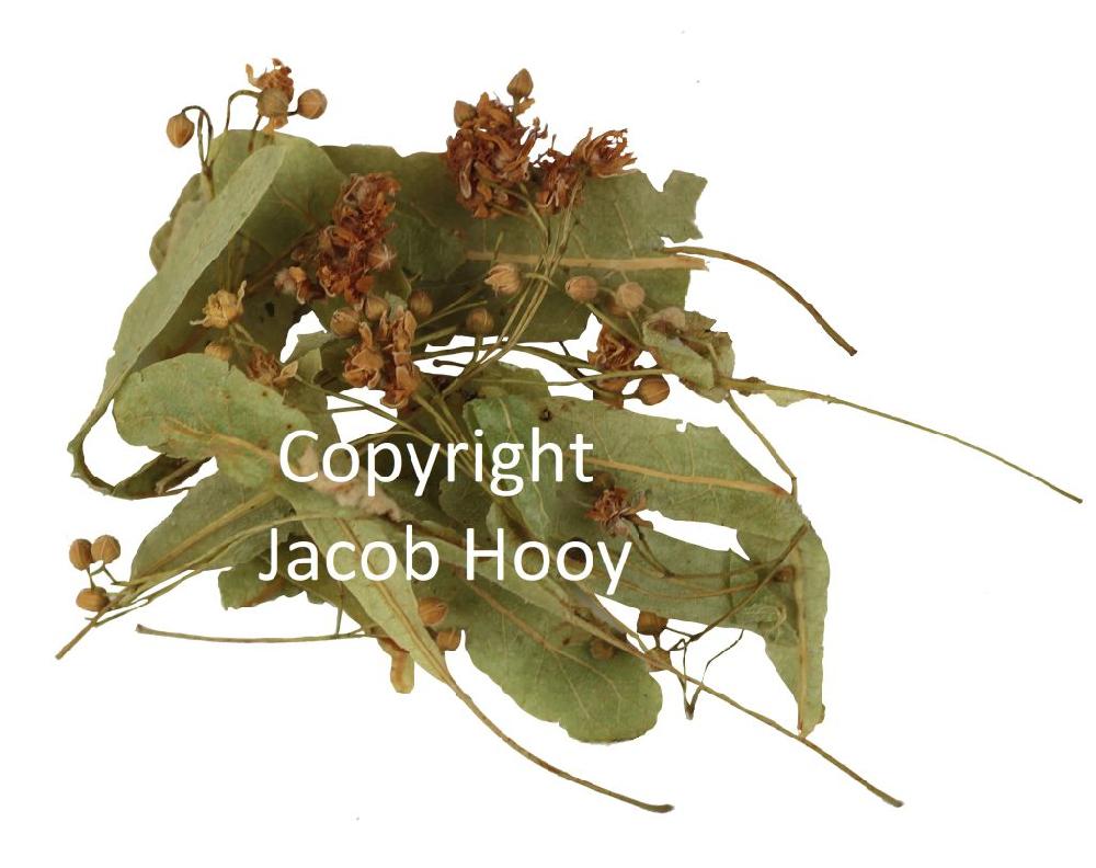 jacob hooy Lindebloesem carpentras heel