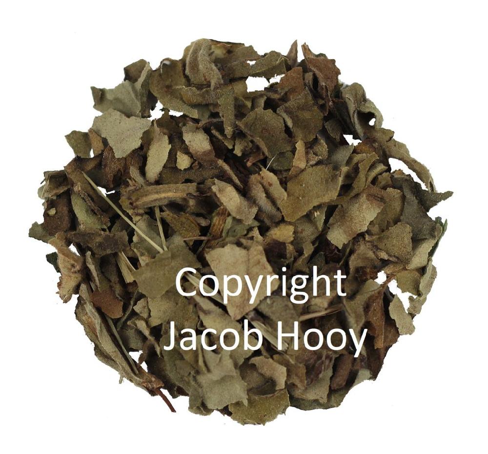 Jacob Hooy Longkruid Gesneden