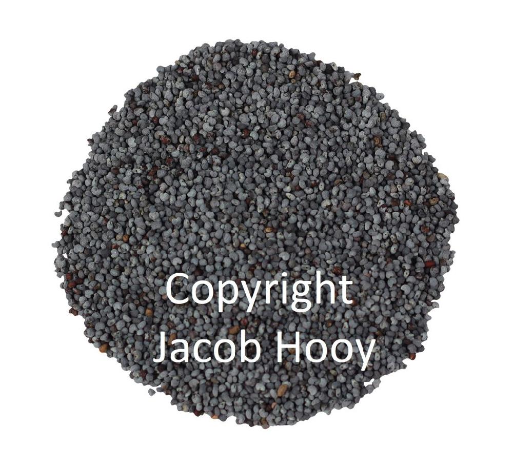 Jacob Hooy Maanzaad Blauw Heel