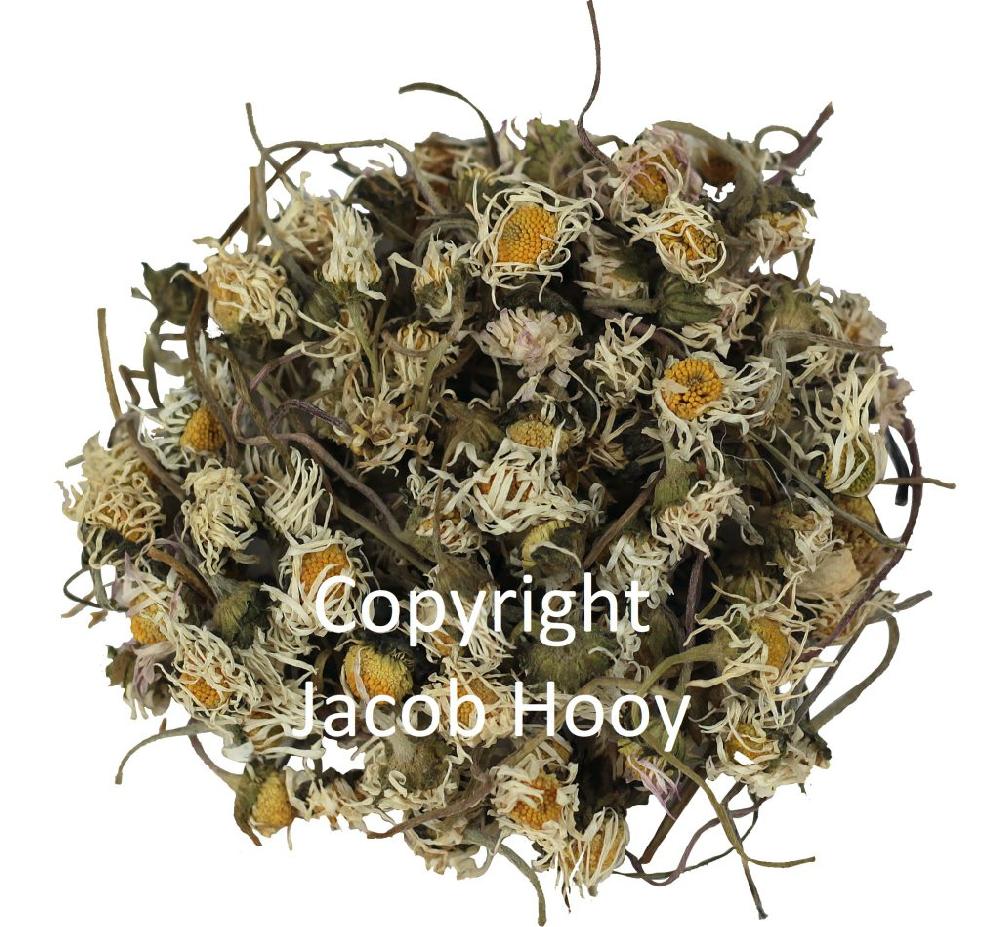 Jacob Hooy Madeliefjes Heel