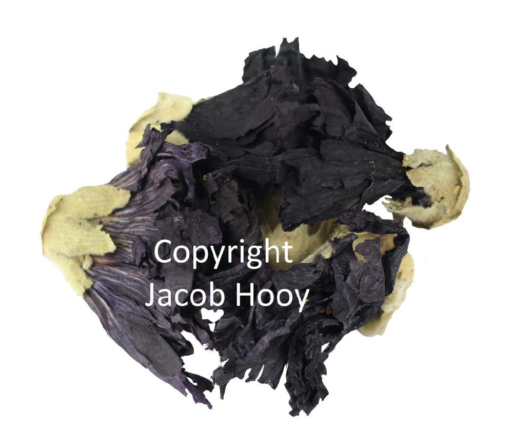 jacob hooy Malvabloemen heel