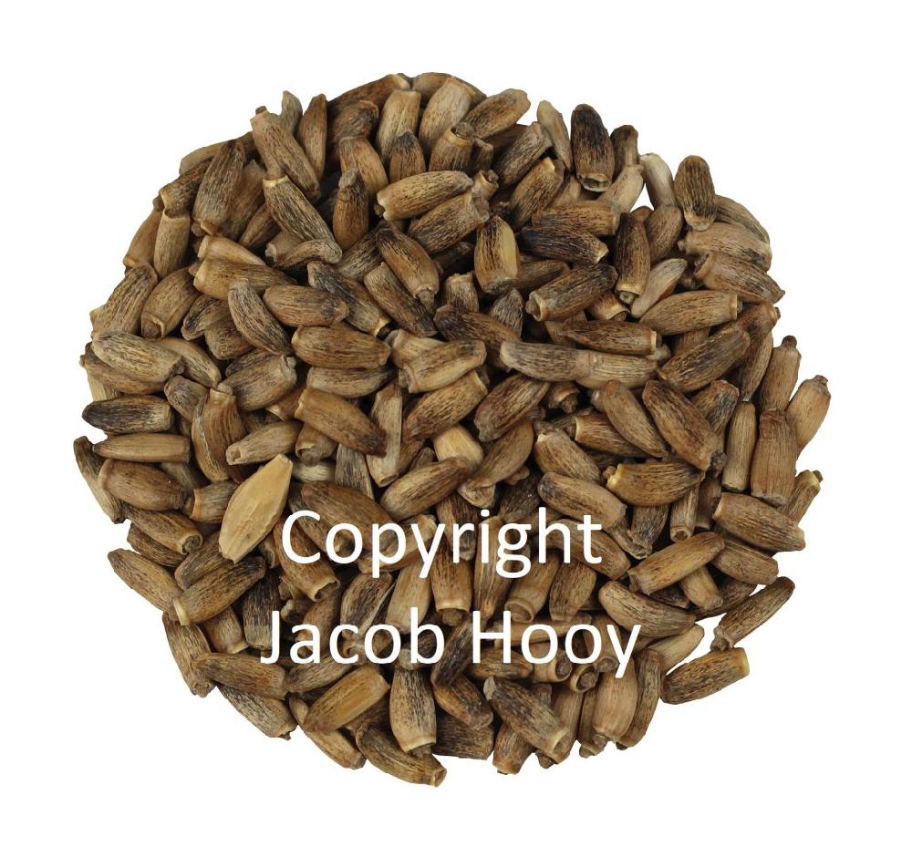 Jacob Hooy Mariadistelzaad Heel