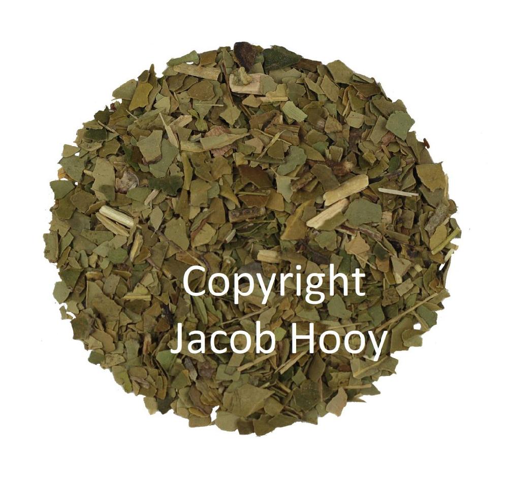 jacob hooy Mate thee