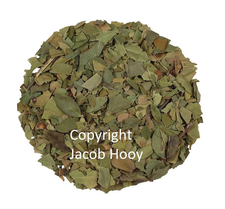 Jacob Hooy Mirtenblad Gesneden