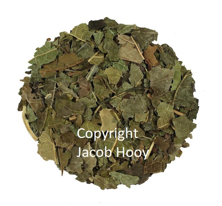 jacob hooy Moerbei-blad gesneden