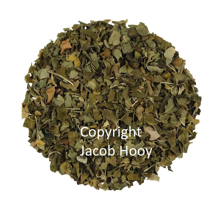 jacob hooy Moringa oleifera gesneden