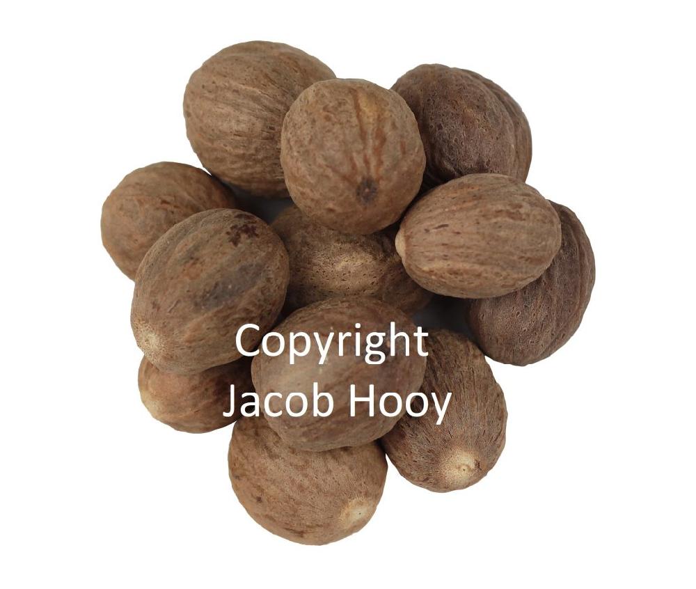 jacob hooy Nootmuskaat heel (ongekalkt)
