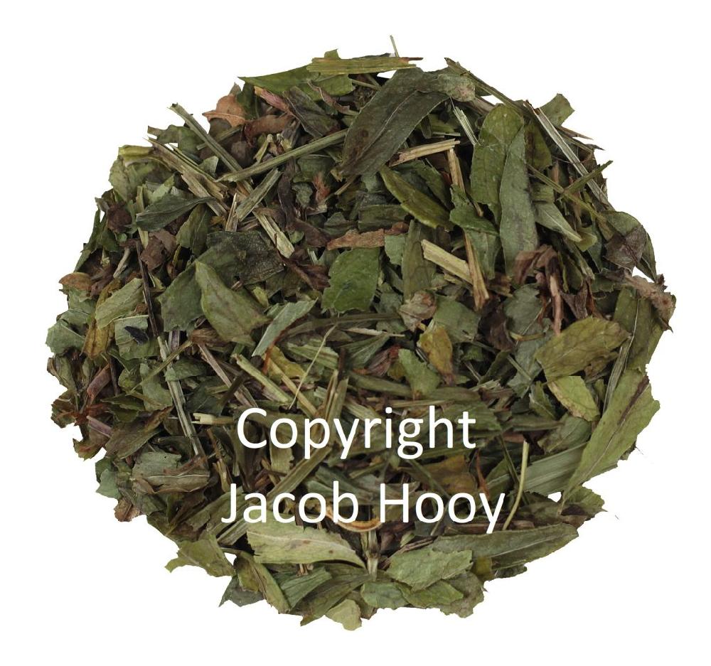 jacob hooy Onzelievevrouwebedstro gesneden