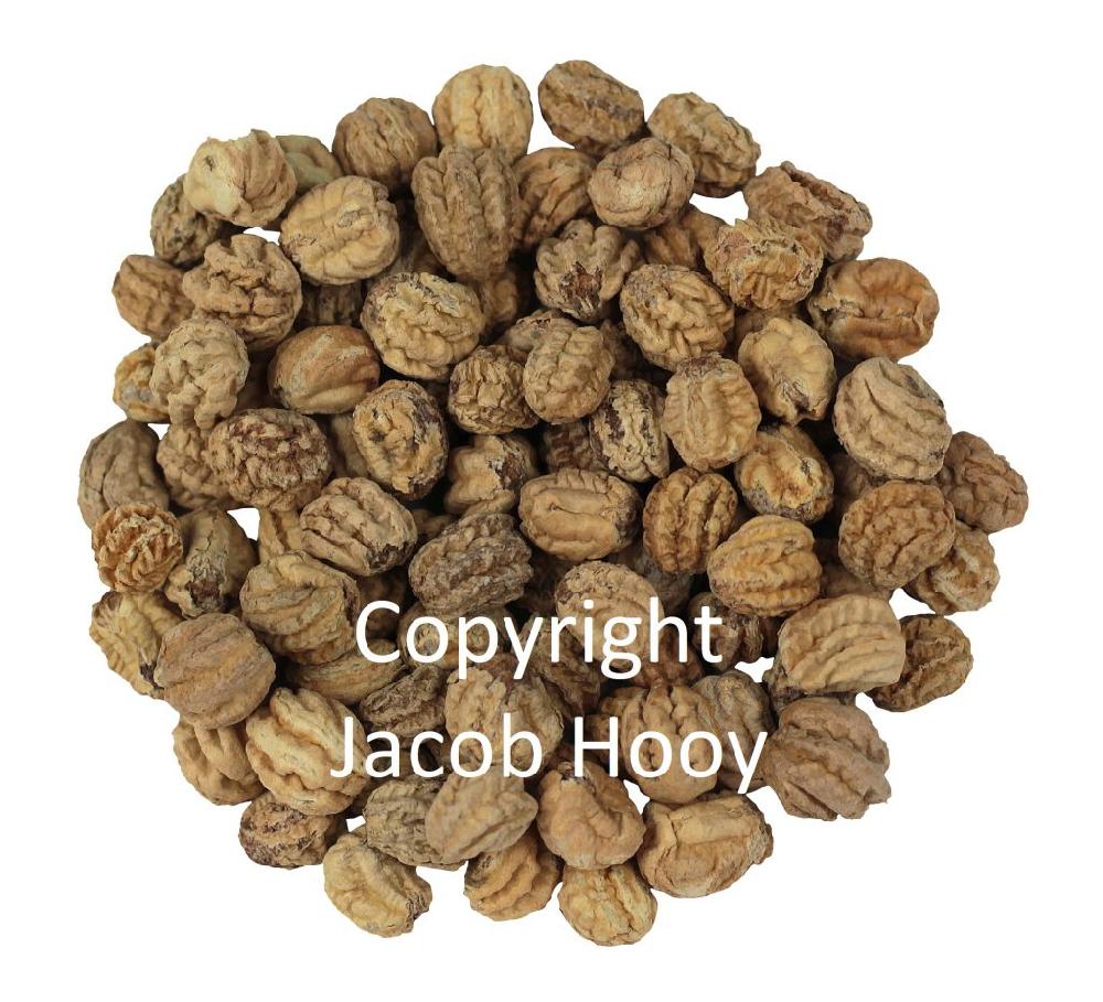 Jacob Hooy Oost Indisch Kerszaad Heel