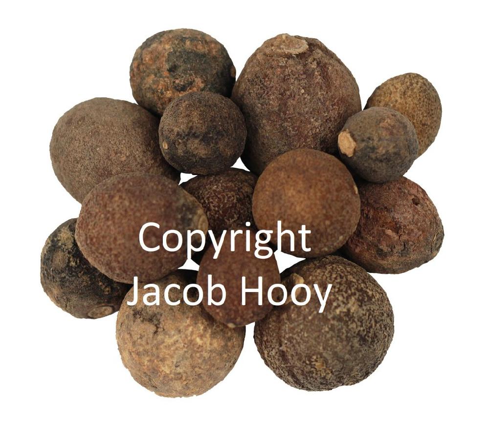 Jacob Hooy Oranje Appels Heel