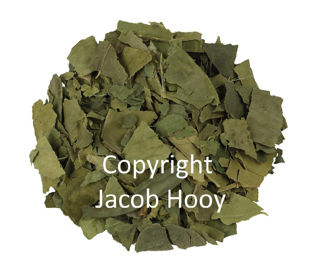 Jacob Hooy Oranjeblad Gesneden