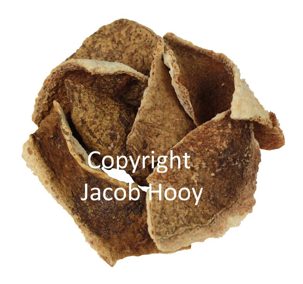 jacob hooy Oranjeschillen bitter heel