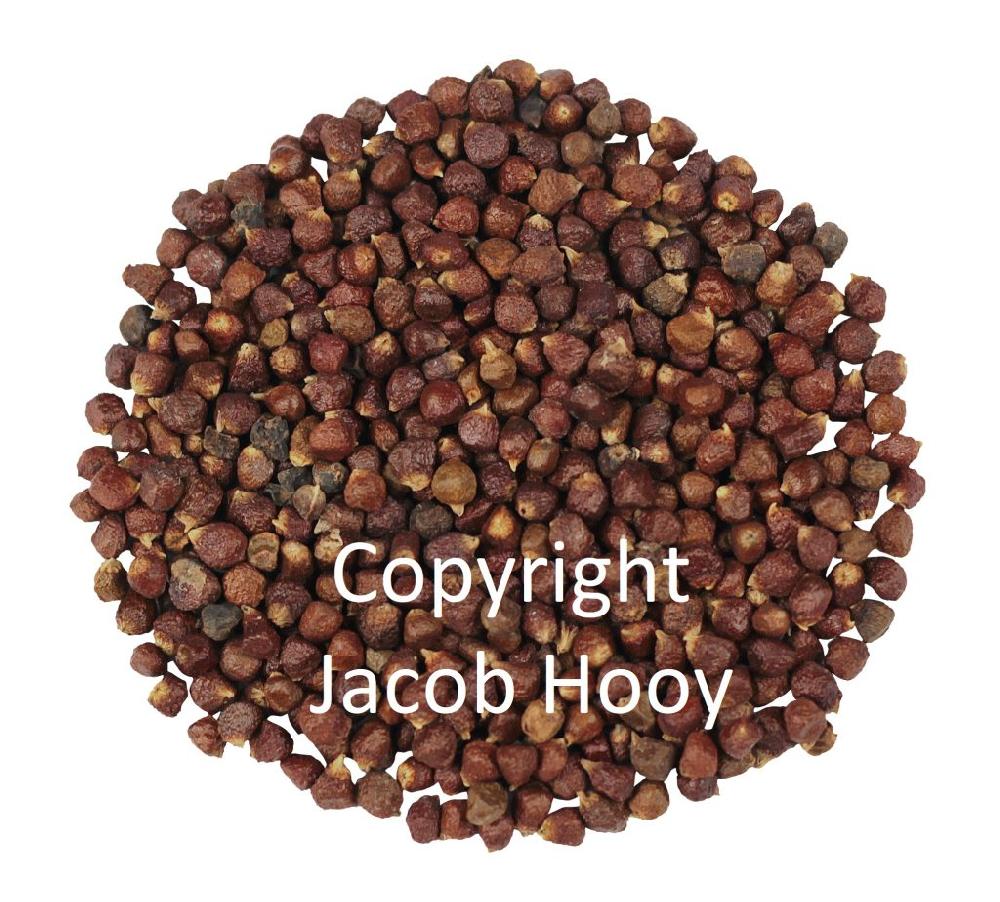 Jacob Hooy Paradijszaad Heel