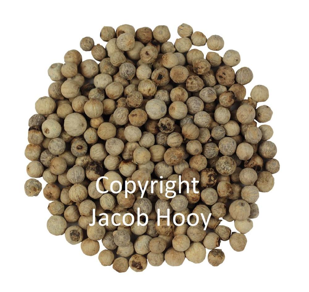 jacob hooy Peperkorrels wit heel