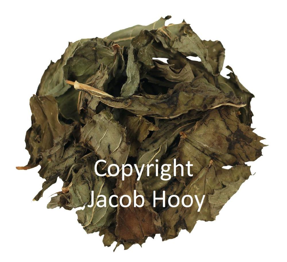 jacob hooy Pepermuntblad heel