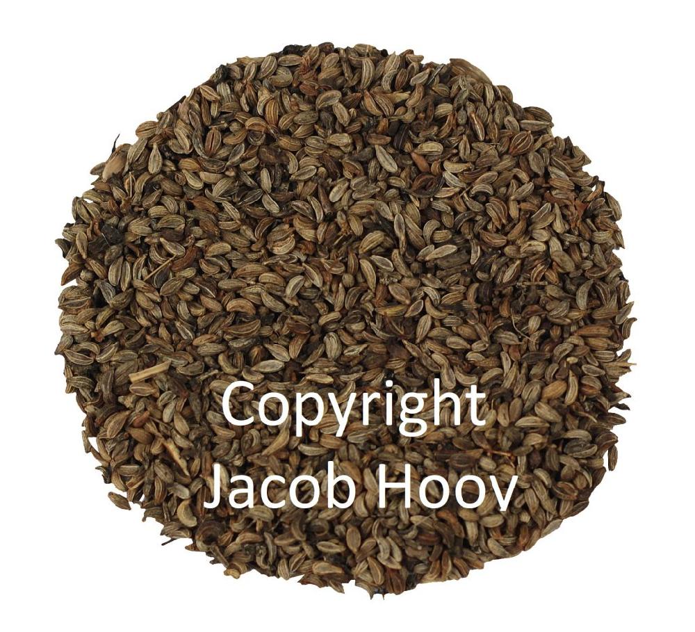 Jacob Hooy Peterseliezaad Heel