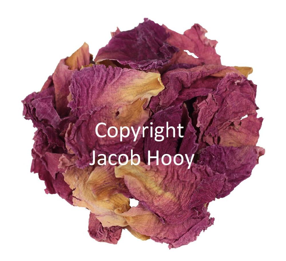 Jacob Hooy Pioenroos Heel