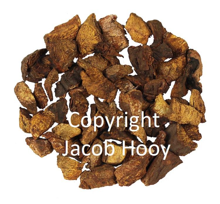 jacob hooy Rabarberwortel gesneden