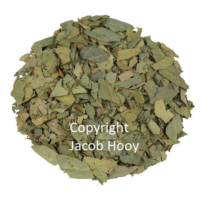 Jacob Hooy Senneblad Gesneden