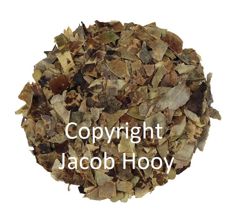 Jacob Hooy Sennepeulen Gesneden