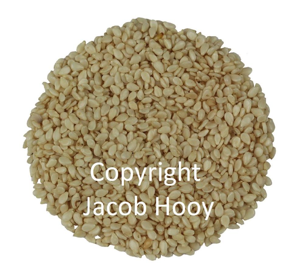Jacob Hooy Sesamzaad Heel Gepeld