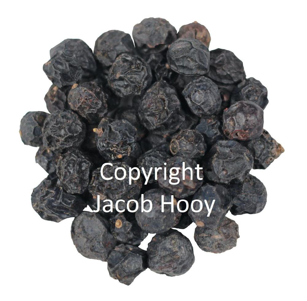 Jacob Hooy Sleedoornbessen Heel