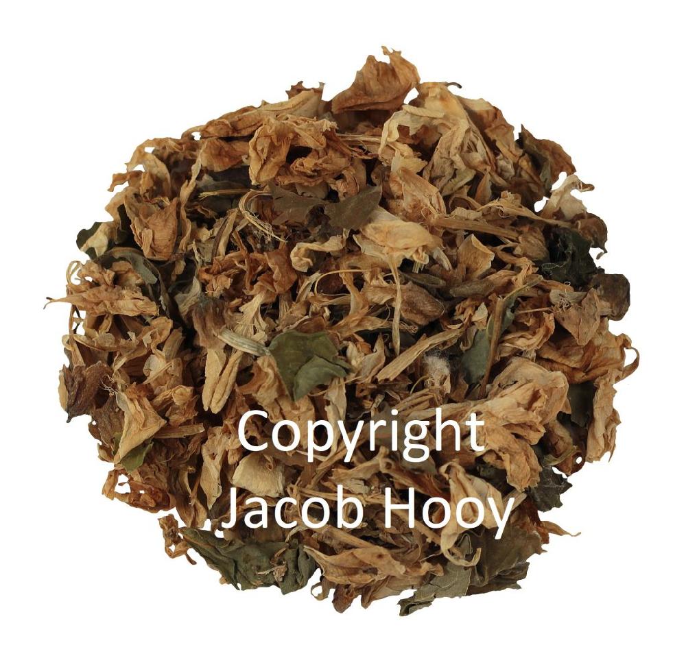 Jacob Hooy Sleedoornbloesem Heel