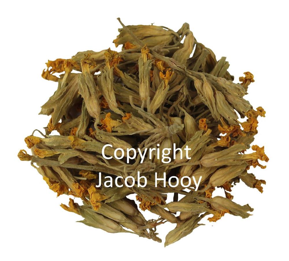 Jacob Hooy Sleutelbloemen Heel