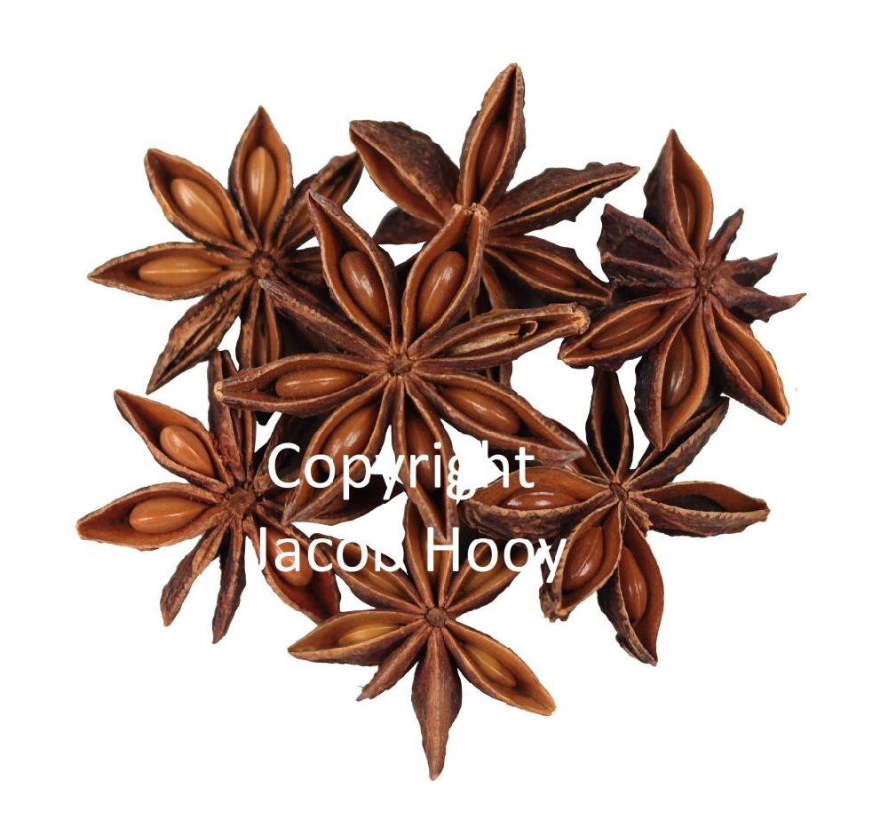 jacob hooy Steranijs sterren 1e kwaliteit heel