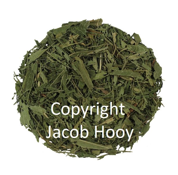 jacob hooy Steviablad gesneden