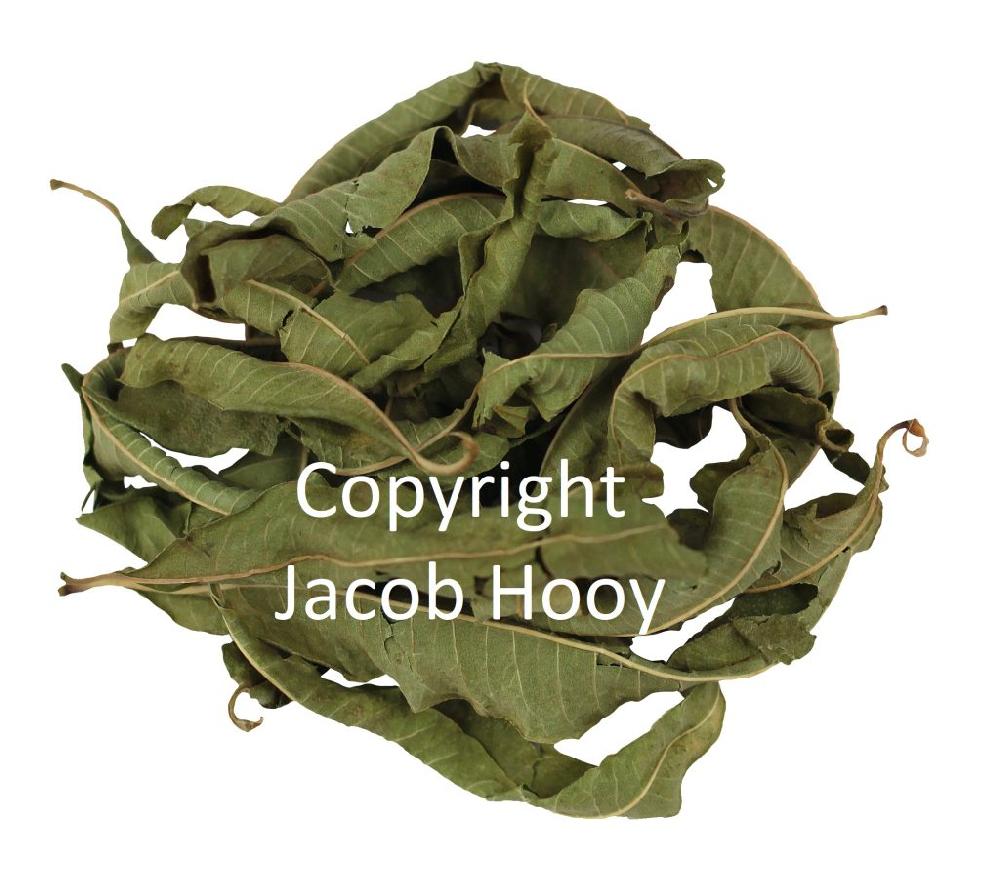 Jacob Hooy Steviablad Heel
