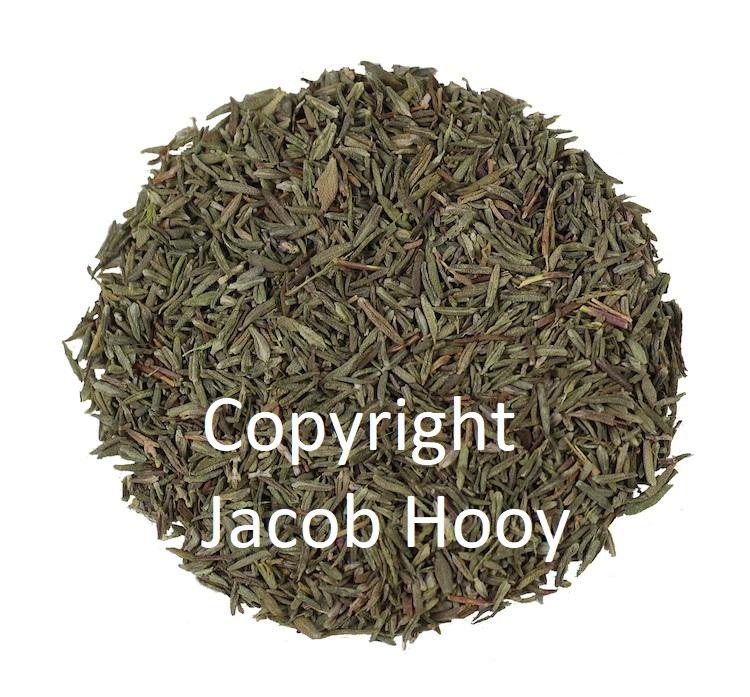 jacob hooy Tijm gerist