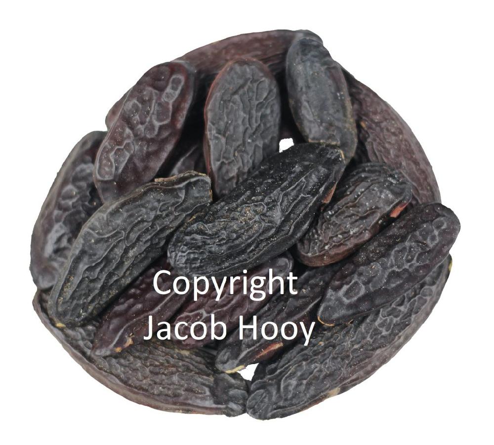 jacob hooy Tonkabonen heel