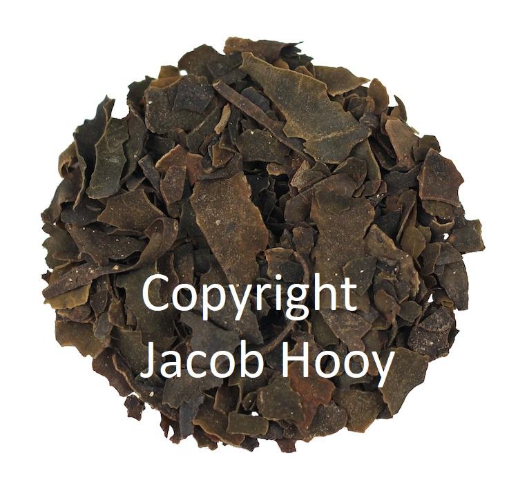 jacob hooy Zeewier grof